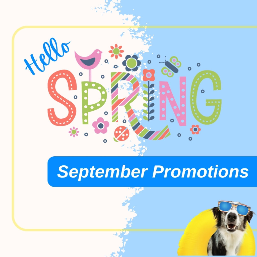 Monthly Promotions - September 2026