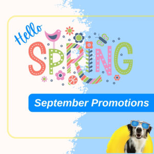 Monthly Promotions - September 2026